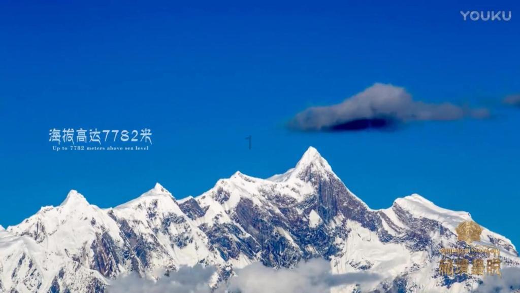 拯救龙精灵