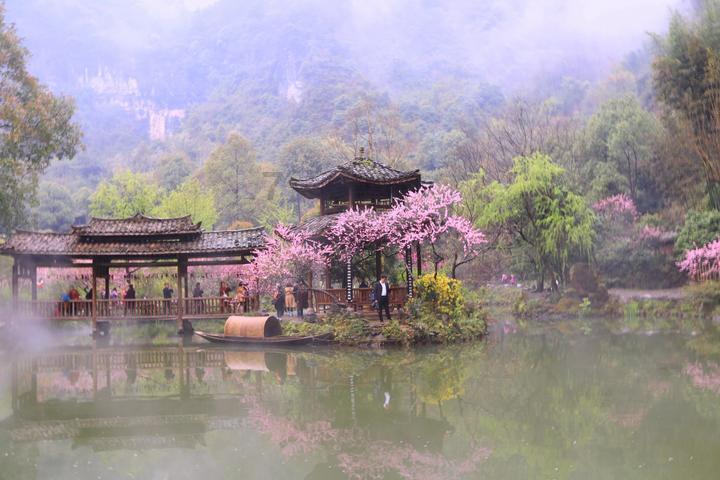 家园卡拉克沙漠