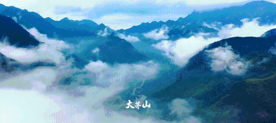 卡哇伊拳击手