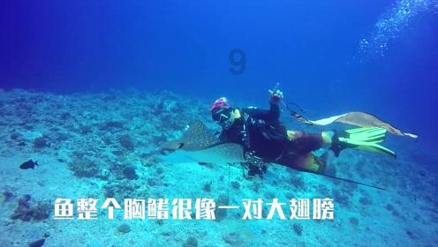 世界杯换装