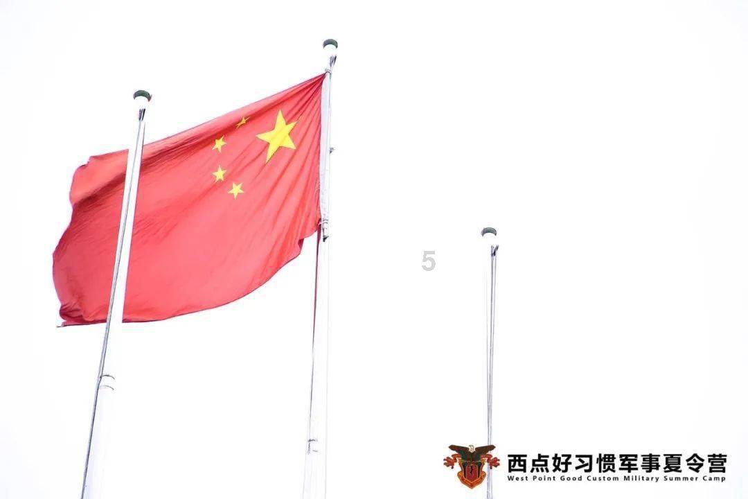 逗小猴开心系列193