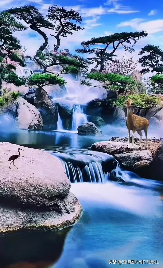 光明记忆