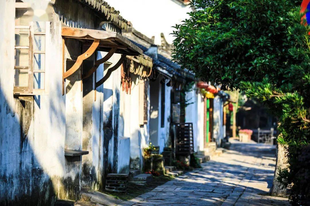 江西省政协委员：建议推动南昌大学食品学科入选“双一流”